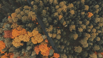 Balance - professional stock photography