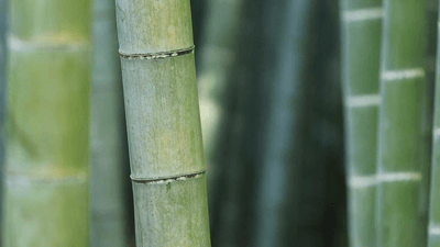 Books - professional stock photography