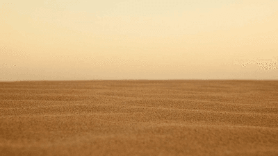 Calm - professional stock photography