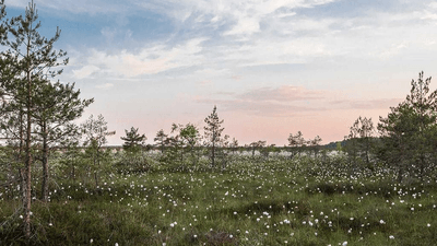 Calm - professional stock photography