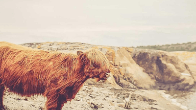 Focus - professional stock photography