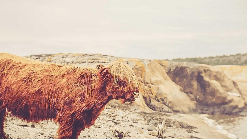 Focus - professional stock photography