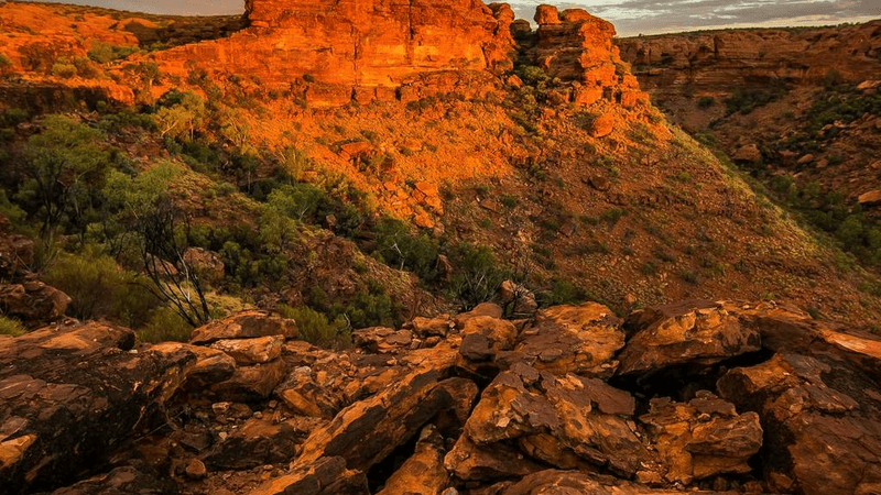 Focus - professional stock photography