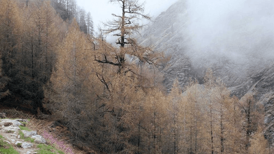 Learning - professional stock photography