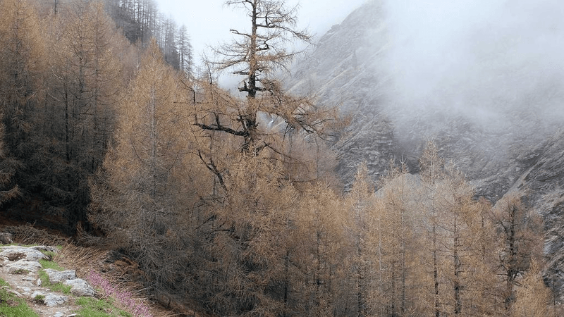 Learning - professional stock photography