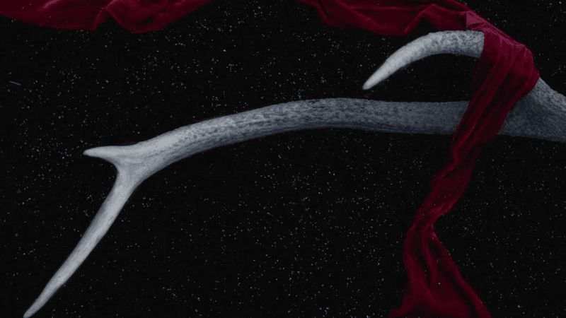 Learning - professional stock photography