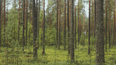 Meditation - professional stock photography