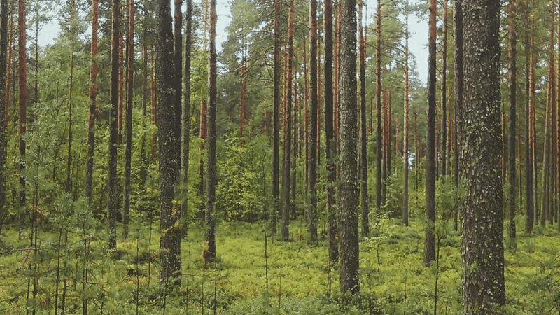 Meditation - professional stock photography