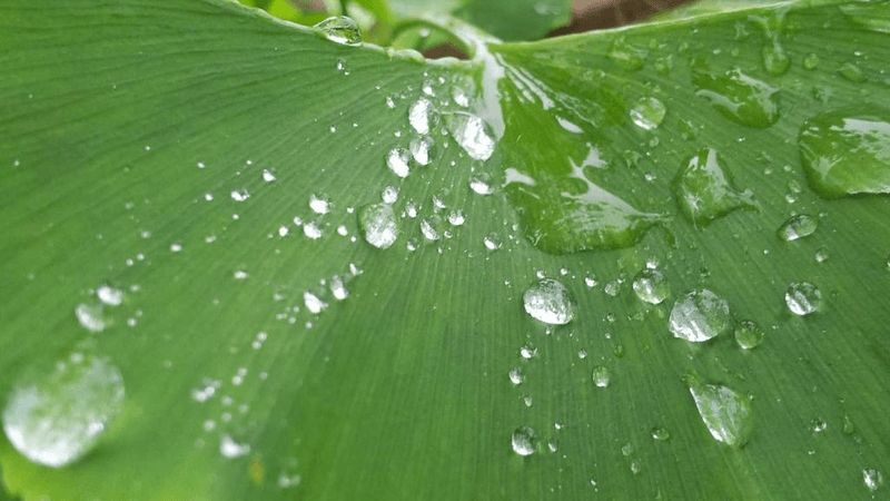 Mindset - professional stock photography