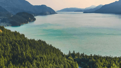 Morning - professional stock photography