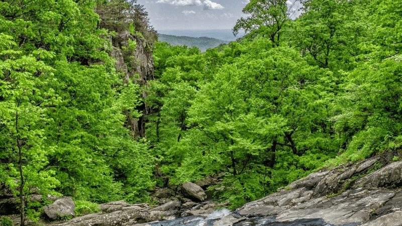 Morning - professional stock photography