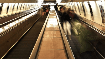 Morning - professional stock photography