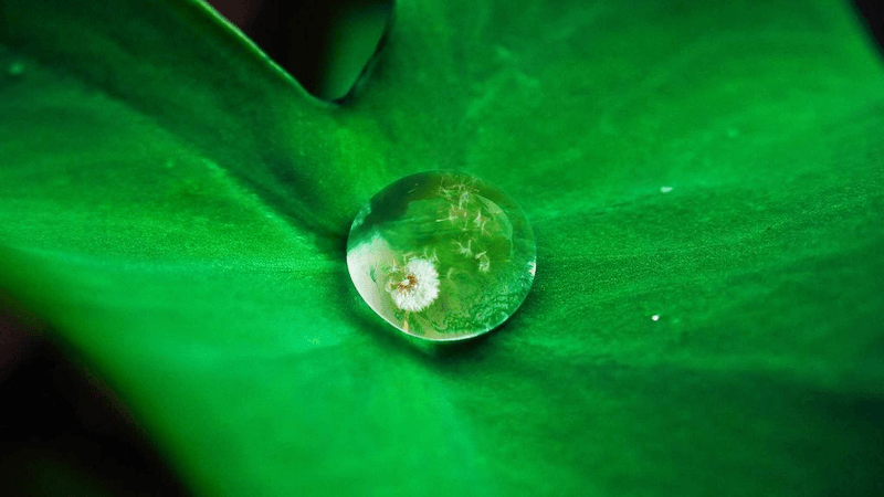 Morning - professional stock photography