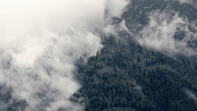 Planner - professional stock photography