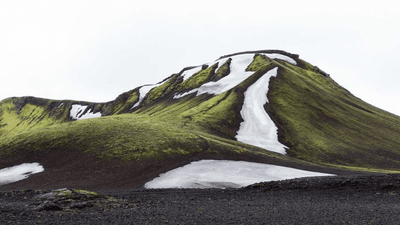 Reading - professional stock photography