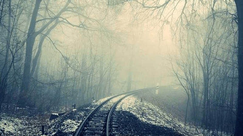 Reading - professional stock photography