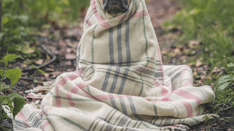 Routine - professional stock photography