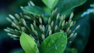 Routine - professional stock photography