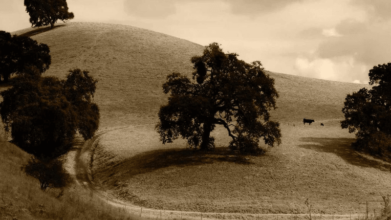 Success - professional stock photography