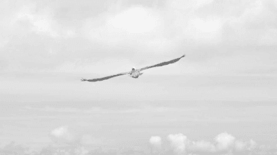 Success - professional stock photography