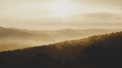 Success - professional stock photography