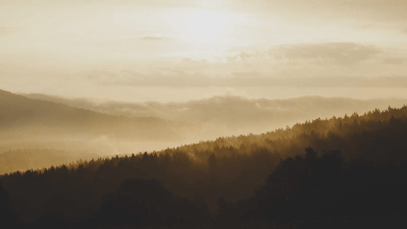 Success - professional stock photography