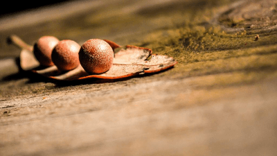 Sunrise - professional stock photography