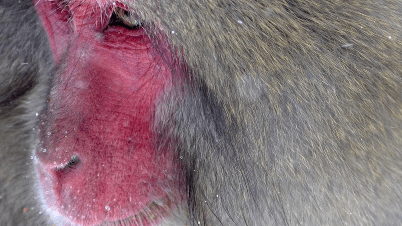 Writing - professional stock photography